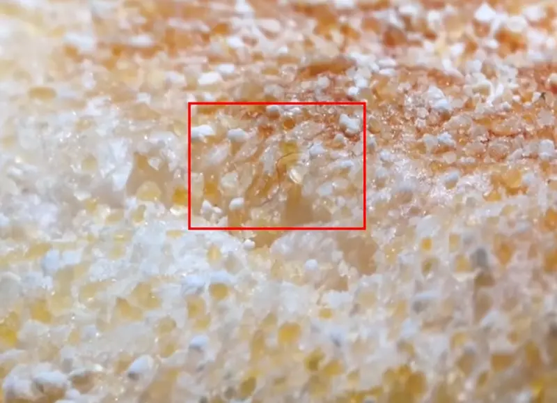 ▲麥當勞在北捷架設廣告看板，結果被眼尖乘客路過發現，滿福堡的麵包上面出現捲毛，引起廣大討論。（圖/Threads）