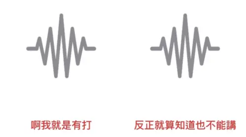 ▲賓賓哥（圖／翻攝自圤智雨Threads）