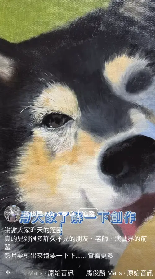 ▲（圖／翻攝自馬俊麟 Mars）