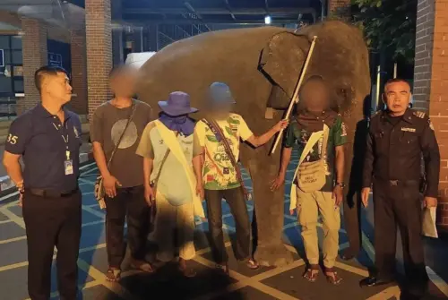 ▲芭達雅市政府獲報「大象逛街賣甘蔗」，立即派員處理，確保不會對民眾造成進一步威脅。（圖／翻攝自The Thaiger）