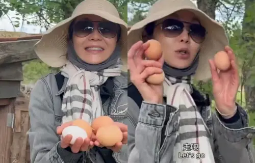 ▲60歲張曼玉不只爬樹！定居法國農村包緊緊撿雞蛋　超接地氣畫面曝。（圖／張曼玉Maggie小紅書）