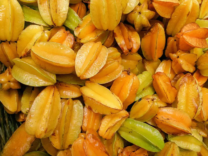 ▲腎功能正常的人，一次吃4顆以上楊桃，仍可能導致急性腎衰竭。（圖／pexels）