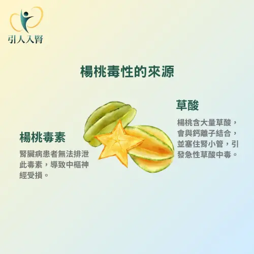 ▲腎功能正常的人，一次吃4顆以上楊桃，仍可能導致急性腎衰竭。（圖／翻攝自引人入腎・林軒任醫師）