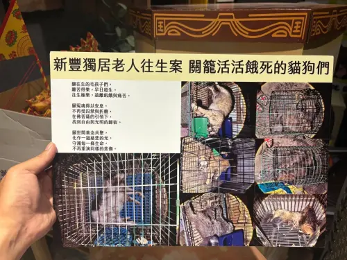 新竹獨居老人離世！家中「2狗8貓活活被餓死」　結局奇蹟發生了
