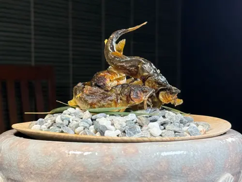 ▲烤物「香魚／小黃瓜醋」，儀式感滿滿。（圖／記者蕭涵云攝）