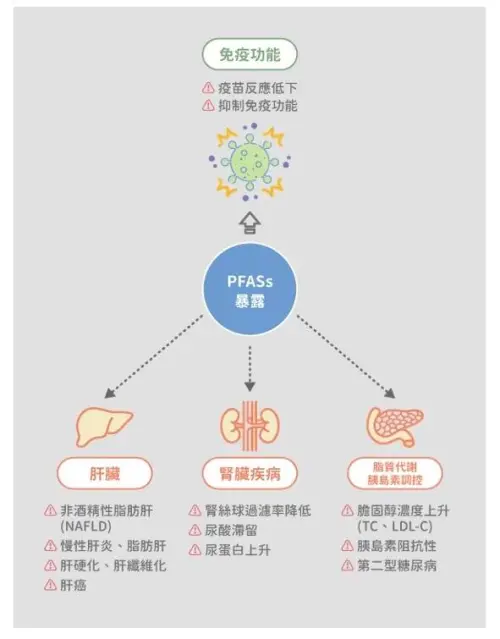 ▲研究顯示，PFAS 長期暴露與肝臟疾病有關，也可能增加肝癌風險。（圖／劉博仁營養功能醫學專家臉書）