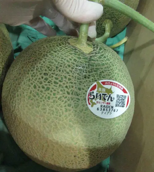 食藥署邊境檢驗！日本鮮蜜瓜檢出禁用農藥　240公斤全退運銷毀
