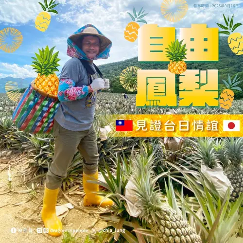 林佳龍揹「自由鳳梨」　化身農夫報喜：外銷日本佔比9成
