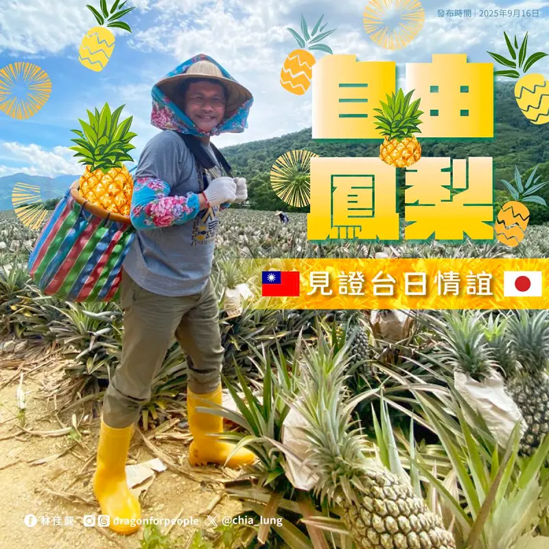 ▲外交部長林佳龍化身鳳梨農，揹著「自由鳳梨」報喜台灣鳳梨外銷日本佔9成。（圖／林佳龍臉書）