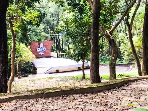 中秋別亂烤　中市僅開放2處合法烤肉區
