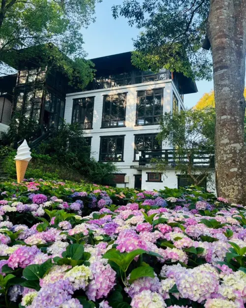 ▲有粉絲難過不捨，「再也看不到滿山繡球花和薰衣草花田」。（圖／翻攝自薰衣草森林FB）