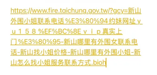 專業滅火變火辣隊！台中消防局網址疑遭惡搞　暗藏「找小姐」資訊
