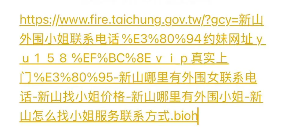 ▲Google搜尋引擎顯示的台中市消防局網址，出現色情字眼。（圖／台中市議員江肇國提供，2025.09.17）
