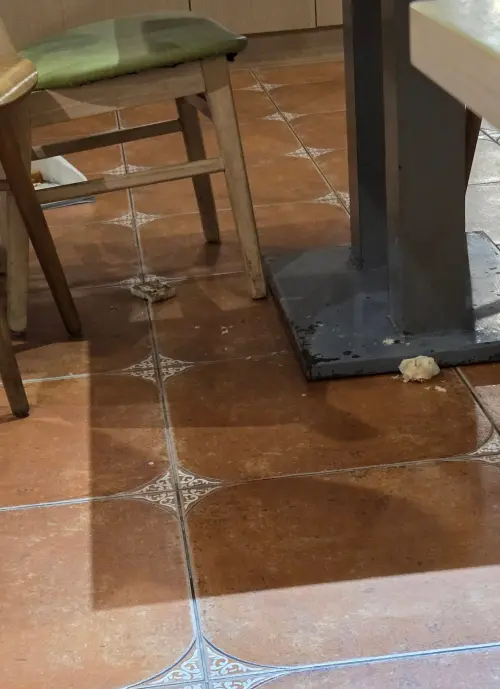 ▲曾雅蘭目擊女童偷丟食物！一見大人反應瞬間理解：不能只看單方面。（圖／曾雅蘭FB）