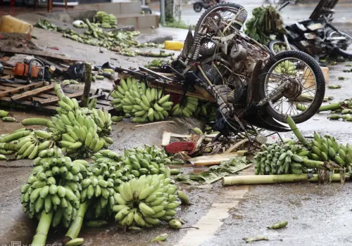 ▲市場內的摩托車被撞爛倒地，香蕉散落滿街。（圖／翻攝自VNExpress）