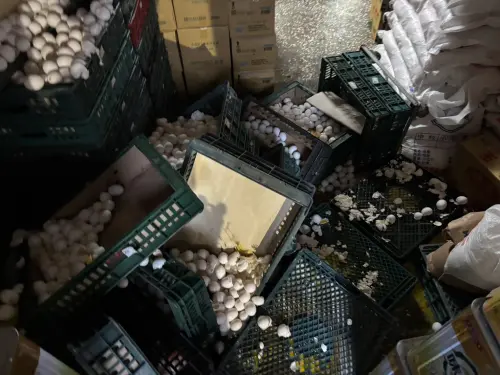 新北五股兄妹為蛋大打出手！上門買蛋7旬無辜婦受波及遭推倒送醫
