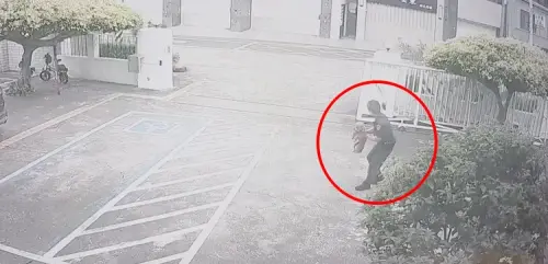 聰明汪星人！紅貴賓雨天迷路　自行走進「派出所」求救成功返家
