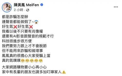 ▲（圖／翻攝自陳美鳳 MeiFen）