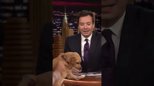 ▲政治評論節目《吉米深夜秀》遭停播，以娛樂為導向的《今日秀》也遭波擊，主持人吉米・法倫（如圖）近期暫緩公開活動。（圖／翻攝自The Tonight Show YouTube）