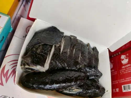 北市稽查流動攤販、餐車！烏骨雞驗出沙門氏菌
