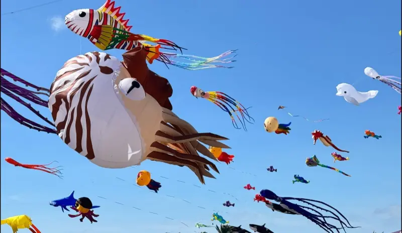 ▲2025新北市國際風箏節將於9月20日在石門區白沙灣盛大展開，將有上百隻造型風箏，包含45公尺的巨型章魚風箏，本文整理完整活動、節目表、交通訊息等資訊一次看。（圖／取自北海岸國際風箏節臉書）