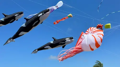 ▲北海岸國際風箏節自1999年起舉辦「風箏的故鄉－石門鄉」，至今已邁入第22年。（圖／取自北海岸國際風箏節臉書）