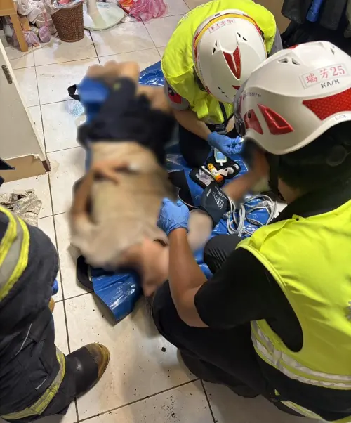 ▲瑞芳一名黃姓男子因暈眩倒臥家中兩天，警方破門搶救，及時將黃男送醫挽回一命。（圖／翻攝畫面）