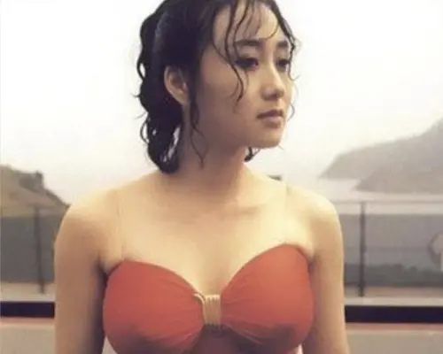 ▲利智有雍容的長相和噴火的身材,獲選亞姐冠軍後,在香港成為熱門話題人物,也在演藝圈當紅搶手。(圖/摘自HKMDB) ▲利智有雍容的長相和噴火的身材,獲選亞姐冠軍後,在香港成為熱門話題人物,也在演藝圈當紅搶手。(圖/摘自HKMDB)