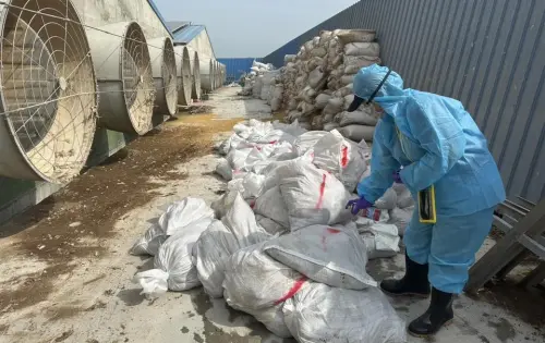 ▲彰化動防所防疫人員完成蛋雞場撲殺清場及消毒工作。（圖／彰化縣政府提供，2025.09.20）