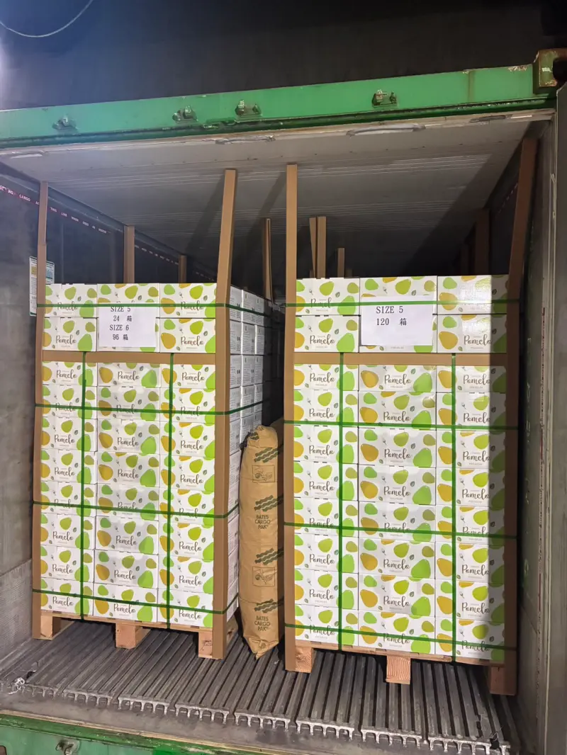 ▲農業部防檢署表示，首批外銷馬來西亞文旦已海運抵馬並於19日順利通關，為台灣文旦拓展國際市場新領域。（圖╱防檢署提供）