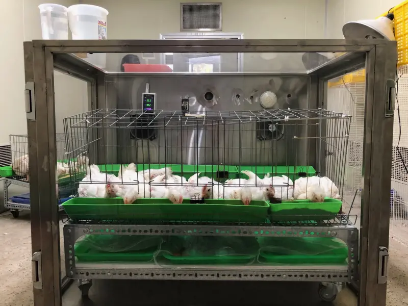 ▲畜試所利用家禽呼吸室，測量腸胃道甲烷排放。（圖／農業部提供）