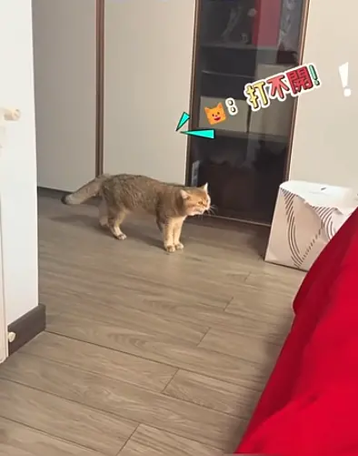 ▲（圖／翻攝自YT）