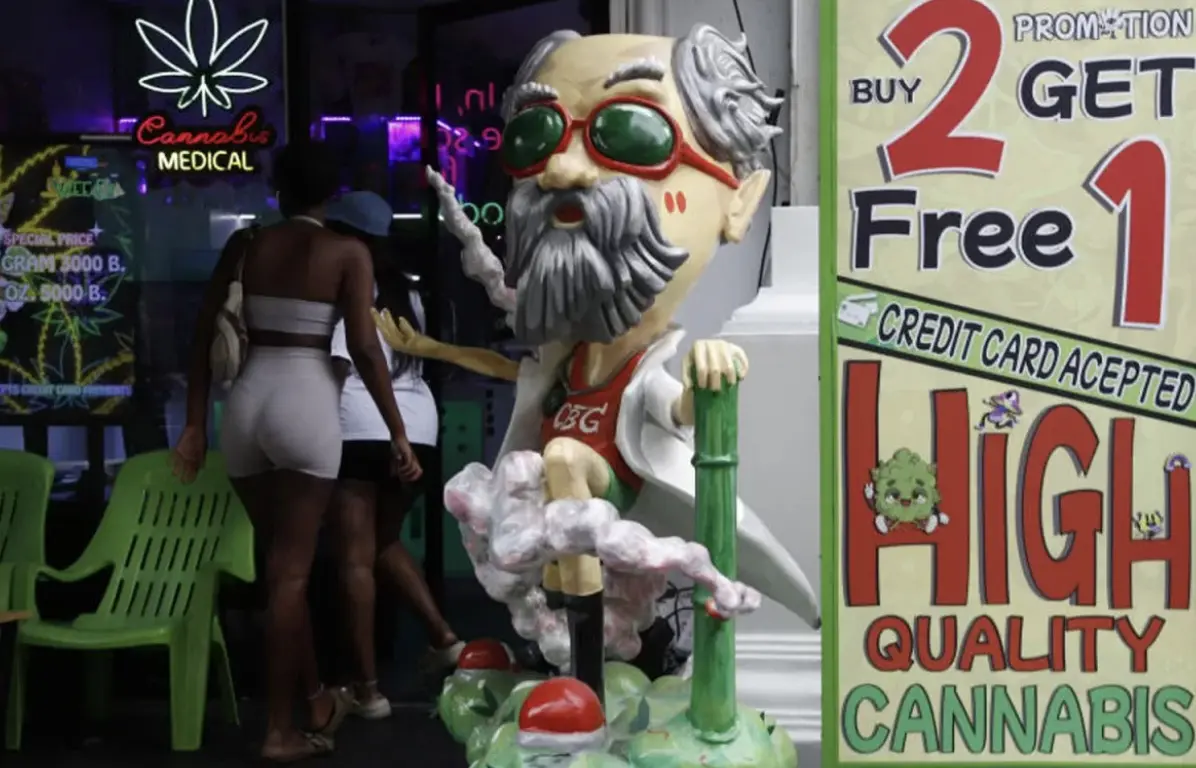 ▲泰國觀光業者呼籲政府設立大麻專區，並改善外籍人士透過「人頭公司」經營旅遊業務。（圖／翻攝自Bangkok Post）