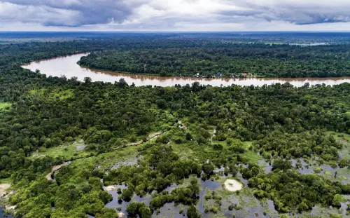 印尼泥炭地遭開發與林火夾擊　「地球之肺」快速流失衝擊全球氣候
