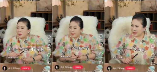 ▲向太爆料有一名新人女演員曾找她哭訴，說自己被大咖男星玩弄了。（圖／小紅書＠向太Tiffany）