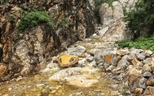 ▲（圖／翻攝自微博）