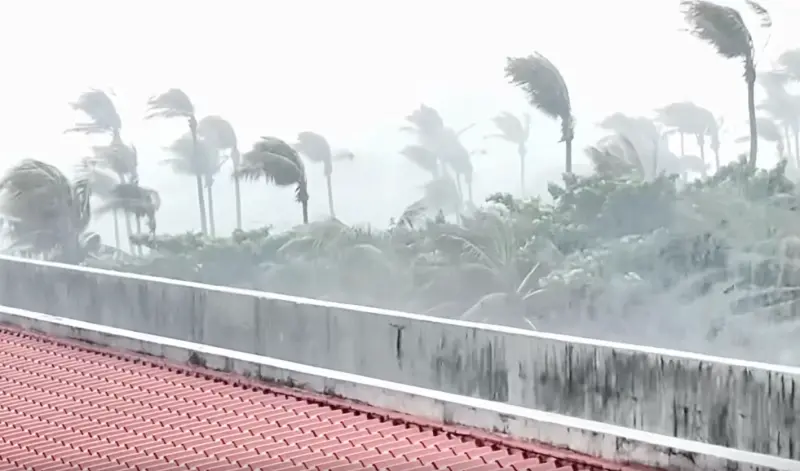 ▲強烈颱風樺加沙暴風圈在今日上午11時接觸恆春陸地，有網友分享墾丁暴風圈內狂風暴雨影片，整排樹木差點被吹倒，海面巨浪與汽車的對比十分驚人。（圖／Threads網友@shiba_in_zakka授權提供）