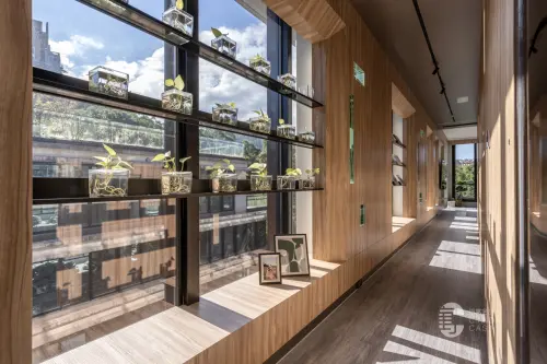 ▲巧寓舍計以陽光走廊串聯公私領域，引景入室，生活處處皆自然氣息。