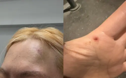 GD巴黎演唱會上演「中韓大戰」！中國粉絲毆韓粉　雙方網路交火
