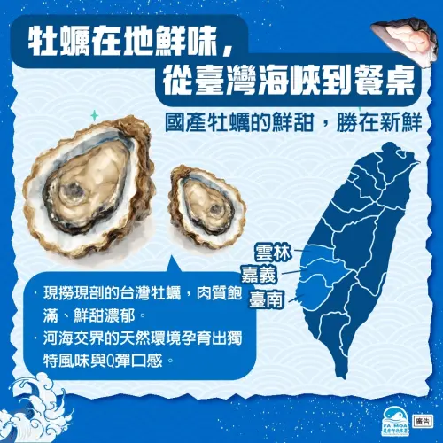 ▲國產牡蠣在地養殖，從產地直達餐桌，有效縮短食物里程，更能品嚐到在地蚵仔的鮮甜美味。（圖／漁業署提供）