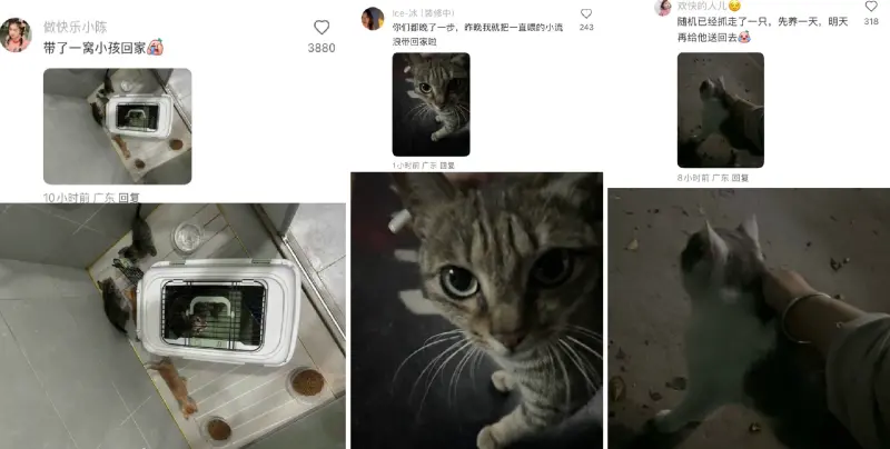 ▲樺加沙颱風24日將登陸廣東，不少市民自發將流浪動物帶回家躲避颱風。（圖／翻攝自微博）