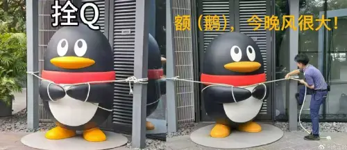 ▲樺加沙颱風24日將登陸廣東，騰訊深圳總部外的企鵝雕塑也被繩索栓緊，官方也做表情包調侃。（圖／翻攝自微博）