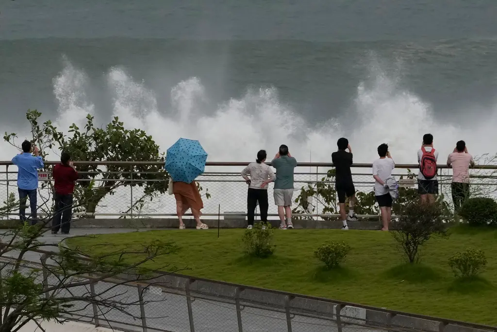 ▲樺加沙颱風逼近中國廣東沿岸，深圳民眾海邊觀浪。（圖／美聯社／達志影像）