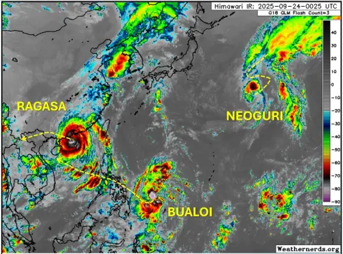 博羅依颱風各國路徑一致了！花東豪雨明天才停　10月還有颱風生成
