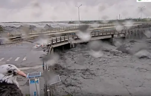 強颱樺加沙釀災！鳥主播亂入花蓮大橋鏡頭　網歪樓：古菇顧

