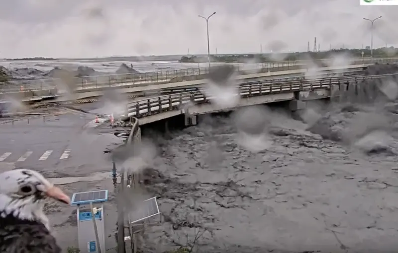 強颱樺加沙釀災！鳥主播亂入花蓮大橋鏡頭　網歪樓：古菇顧