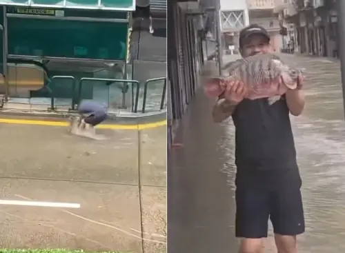 影／樺加沙颱風水淹澳門！民眾街上捕魚　空拍畫面一片慘狀
