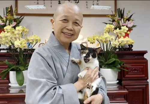 出家人免納稅、豪車代步？釋昭慧氣炸喊告　謝寒冰直球回應了
