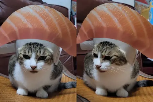 ▲（圖／Threads@yringring授權提供）