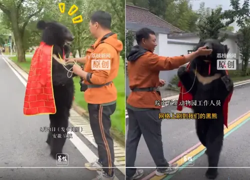 黑熊精現形！穿袈裟直立行走被疑人扮　動物園喊「是真熊」
